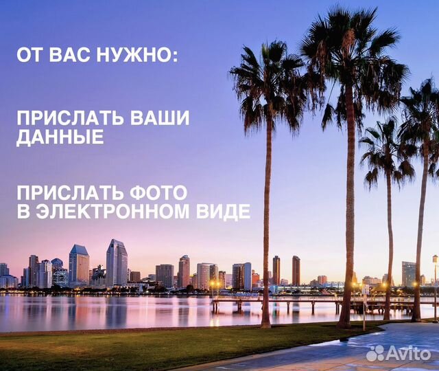 Грин карт 2025 green card