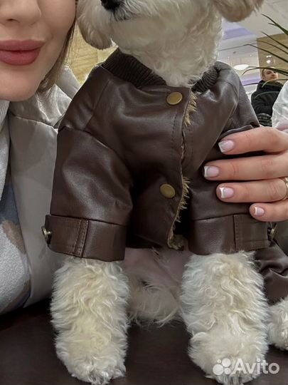 Куртка для маленькой собаки