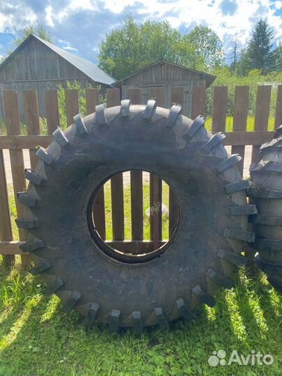 Ободрыши ураган