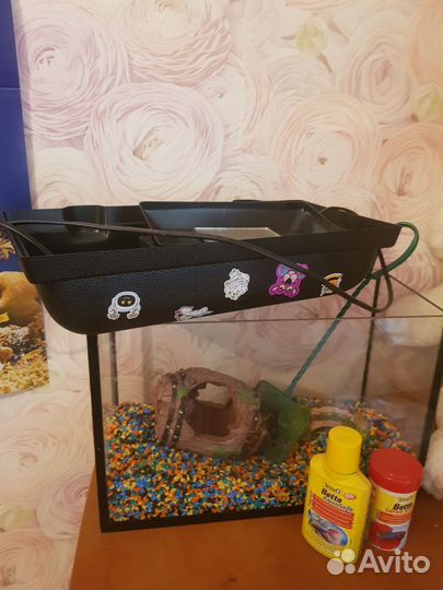 Аквариум