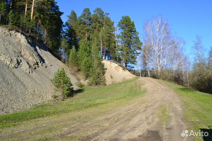 Семейные походы выходного дня Томск