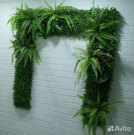 Фитостена. Вертикальное озеленение