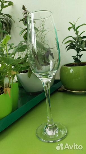 Набор бокалов Pasabahse Amber 6 штук