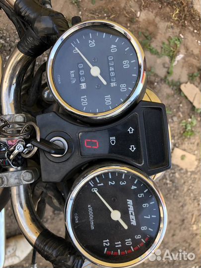 Alpha Gs 110