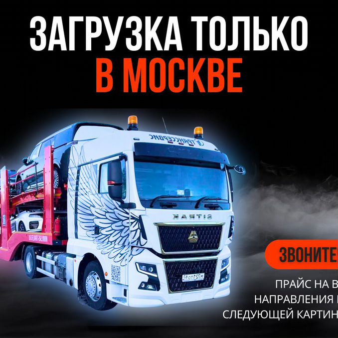 Sasha Grey va mushuk