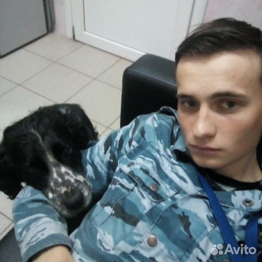 Инструктор по дрессировке