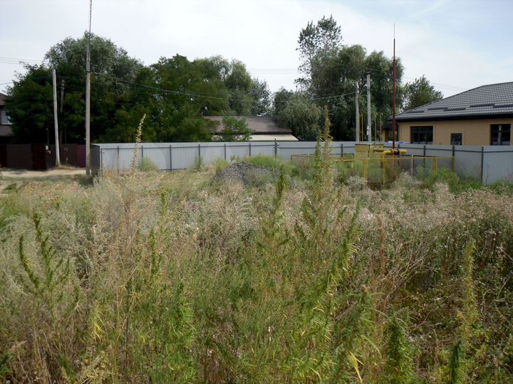 Участок 6 сот. (СНТ, ДНП)