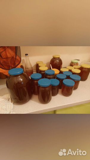 Продам свежий мёд 2023