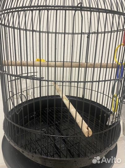 Клетка для птиц