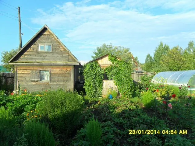 Кировские дачи фото