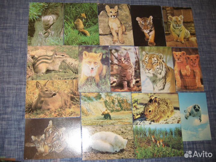 Наборы открыток