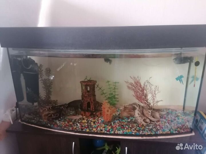 Украшения для аквариума