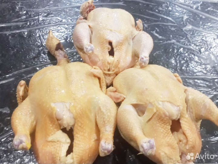 Куры халяльКуры халяль свежие