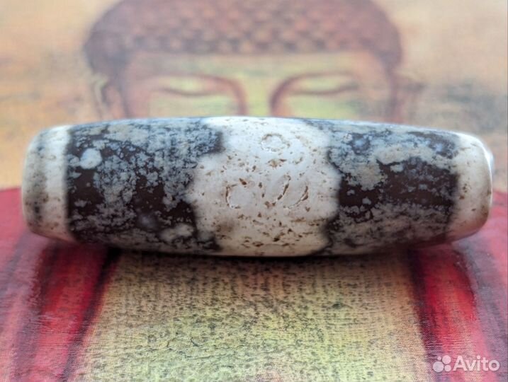 Дзи Насекомое