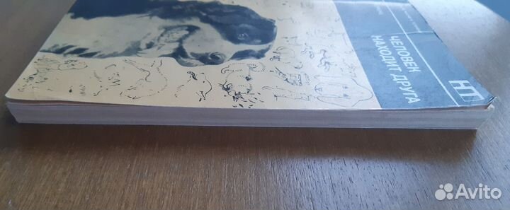 Человек находит друга. Букинистика