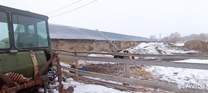 Молочная ферма