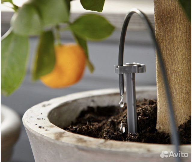 Для полива растений в выходные дни и в отпуске