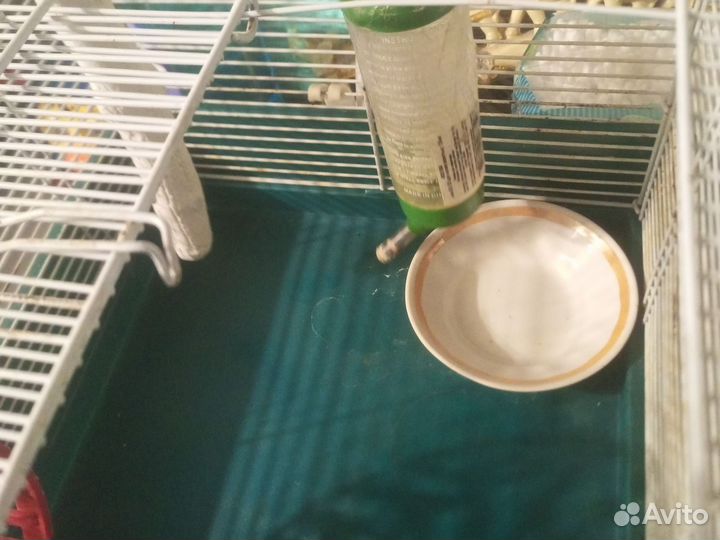 Клетка для хомяка