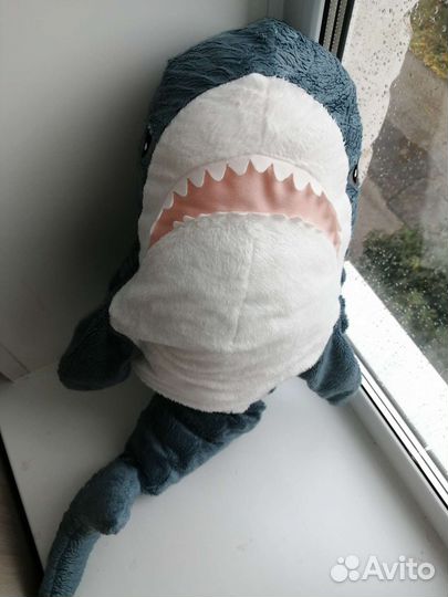 Акула блохэй икеа