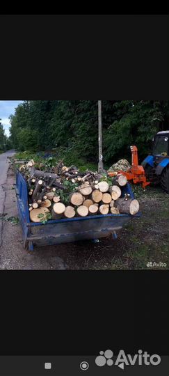 Спилить дерево на участке в Воскресенск