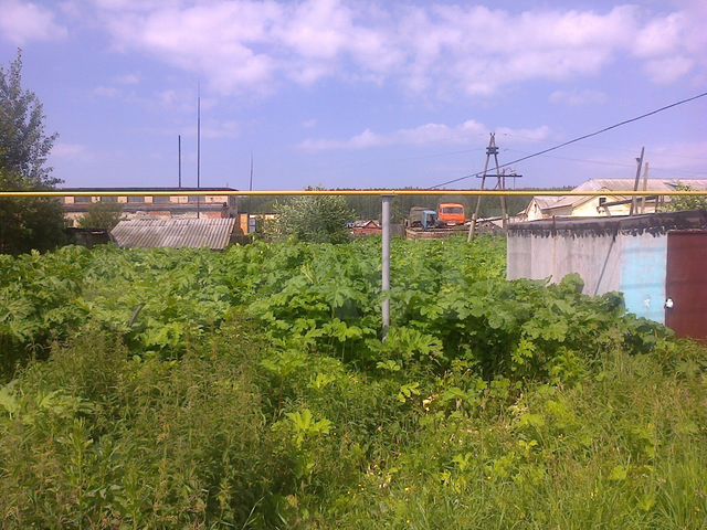 Новоуральск улица нагорная купить дом. Посёлок верх нейвинский. Лесные дачи новоуральск. 2 участок новоуральска. 2 участок новоуральска.