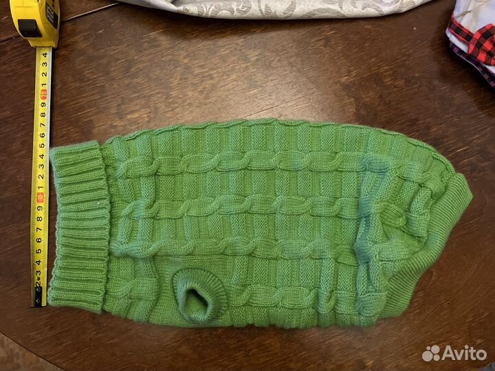 Одежда и намордник для кота. Шлейка для хорька