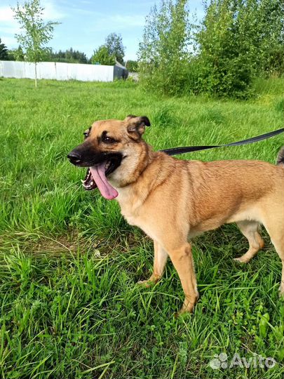 Джесси очень ждёт помощи и своего человека