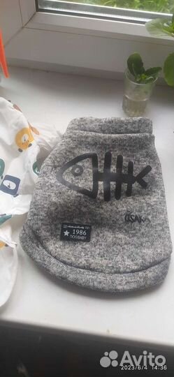 Одежда для маленькой собаки или для кошки