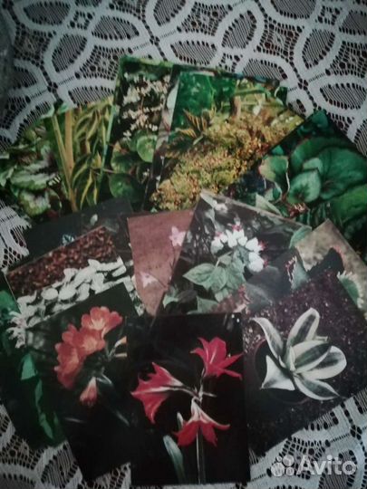 Наборы открыток