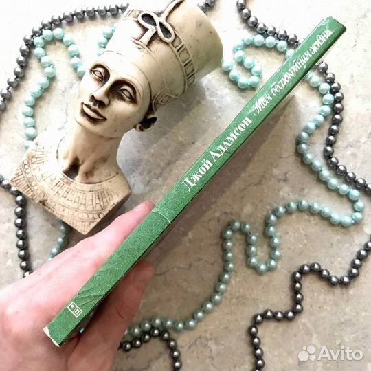 Джой Адамсон, Моя беспокойная жизнь, 1981