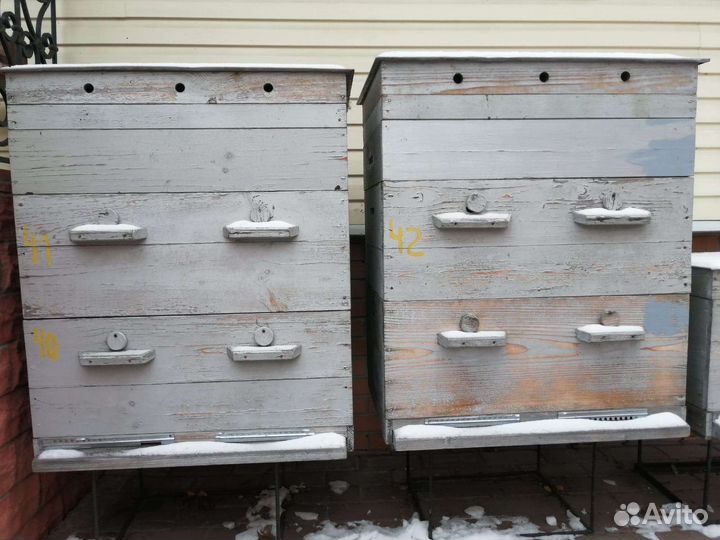 20 рамочные ульи Дадан