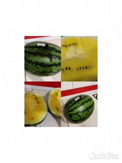 Набор семян вкусных арбузов и дынь