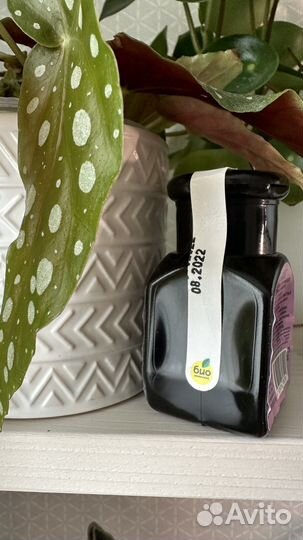 Средство от паутинного клеща