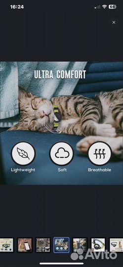 Gps ошейник для кошек