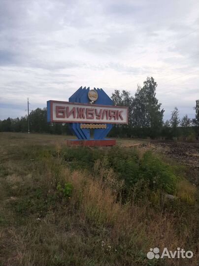 Мед Башкирский