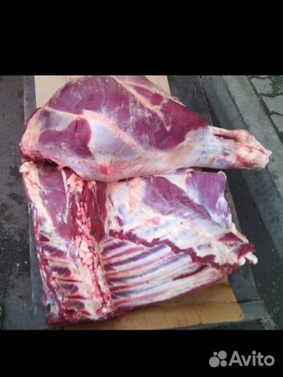 Говядина телятина