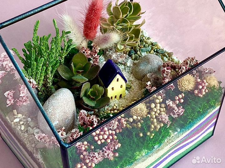 Флорариум, подарок