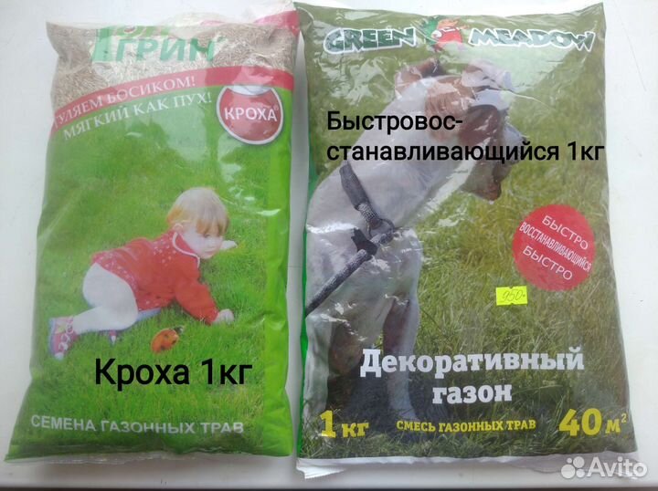 Газон Газонные смеси Семена газонныз трав