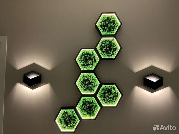 Соты со мхом Полки соты Мох ягель