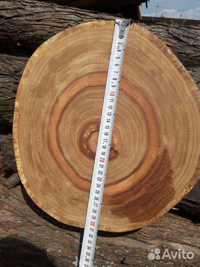 Подставки из среза/спила дуба (под заказ)