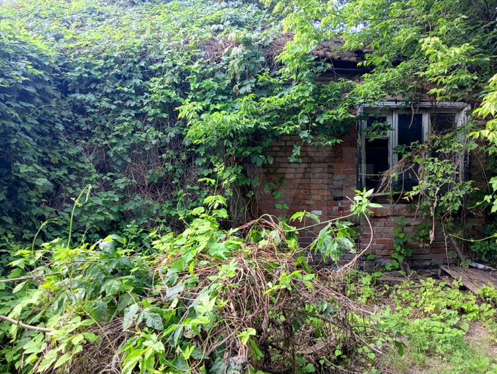 Дом 80 м² на участке 6 сот.