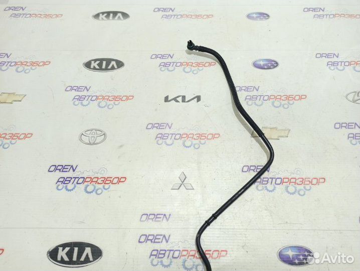 Трубка топливная Renault Duster 2.0 F4RA400 2013