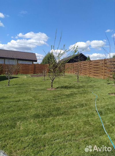 Рулонный газон от производителя с доставкой