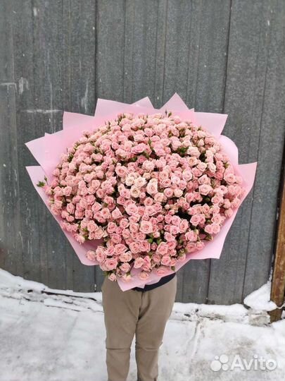 Роза букет хризантемы 21/51/101