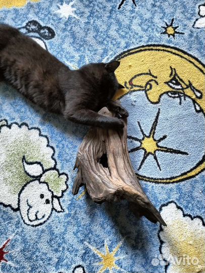 Красивая деревяшка