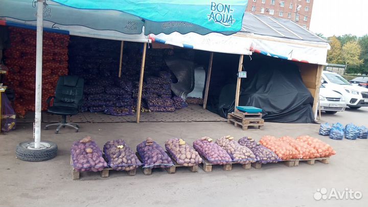Продам картофель