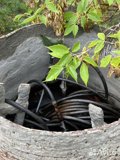 Бетономешалка