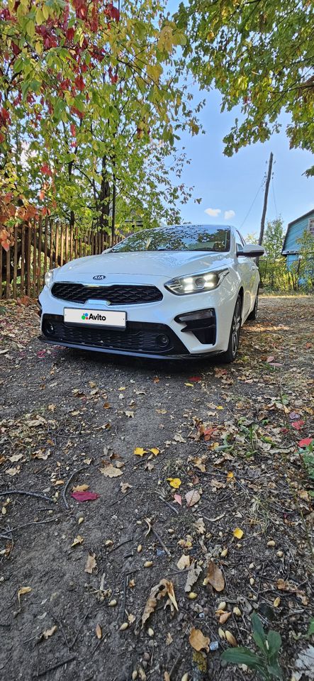 Kia Cerato: фото владельца