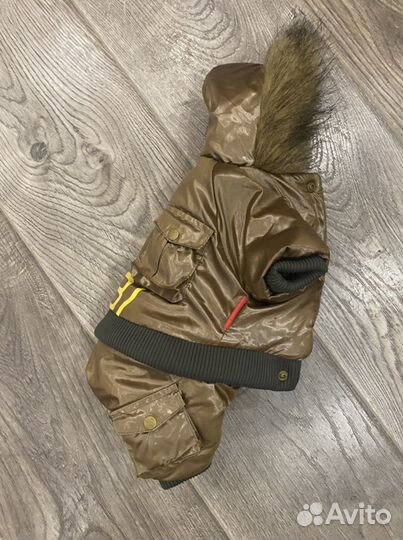 Комбинезон для собак мелких пород