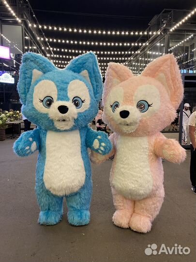 Праздники Аниматор Поздравление от белочек